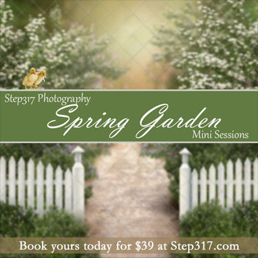 Step317_2023_SpringGarden_Square_Small